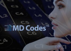 O Que é O MD Codes?